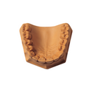 Microstone/Mounting Plaster 33lb/15kg