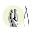 150A Maxillary Forceps