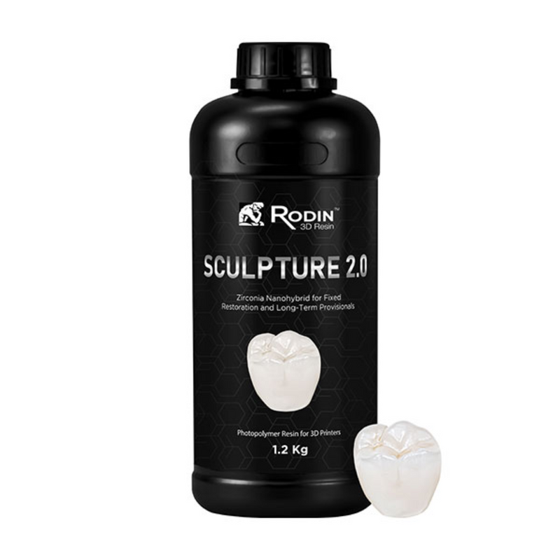 Rodin Sculpture 2.0 1.2kg