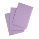 Patient Bibs 2/Ply+Poly - Plasdent