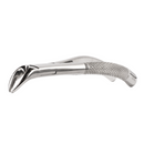 Extracting Forceps Extra Grip
