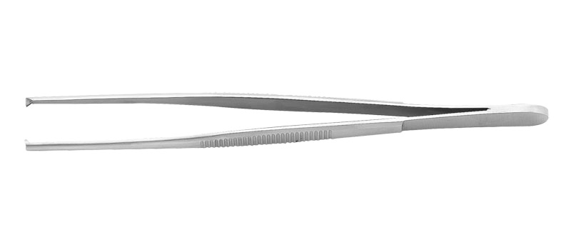 Tissue Forcep 5.5'' 2X3