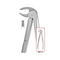 Extraction Forceps_1