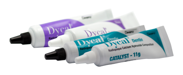 Dycal Standard Pack 1 x 13g Base, 1 x 11g Catalyst