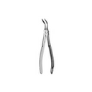 Forcep Root