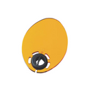 Protective Light Shield