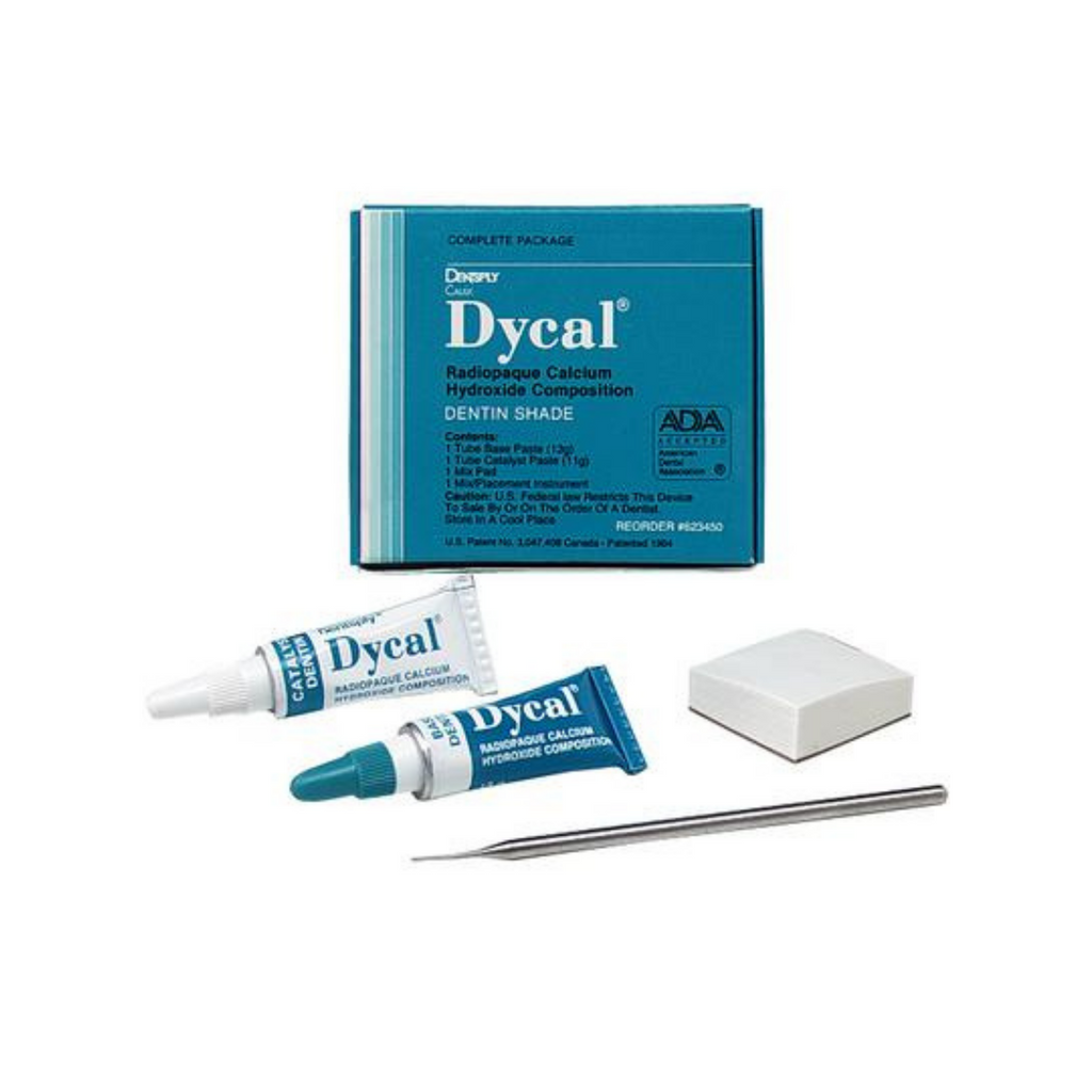 Dycal Calcium Hydroxide Liner Placement Instrument Curio.Dental