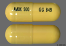 Amoxicillin 500mg 100/Bottle