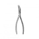 Forcep Root