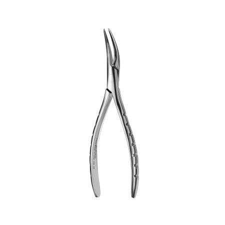 Forcep Root #300