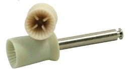 Prophy Cups - House Brand Screw 144/Pk