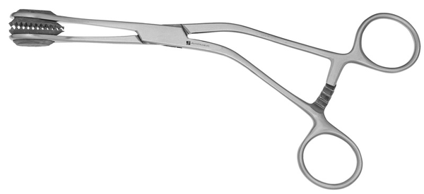 Young Tongue Holding Forcep 6''