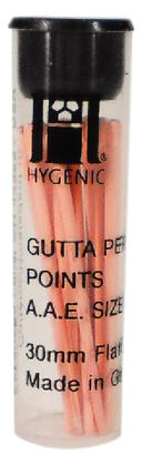 Hygenic Gutta Percha Points Vials 100/Pk