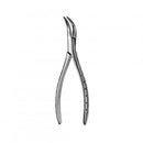 Forcep Root